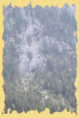 img_0384.jpg