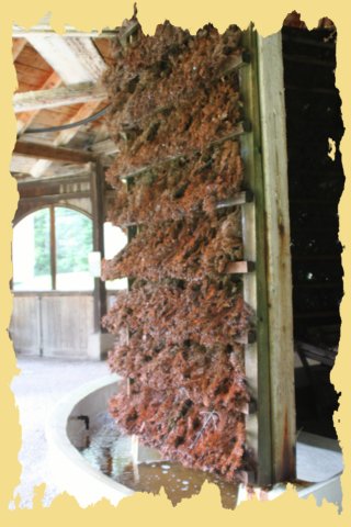 img_0401.jpg