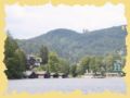 img_0387.jpg