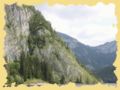 img_0374.jpg