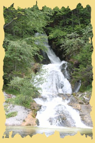 img_0533.jpg