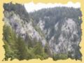 img_0528.jpg