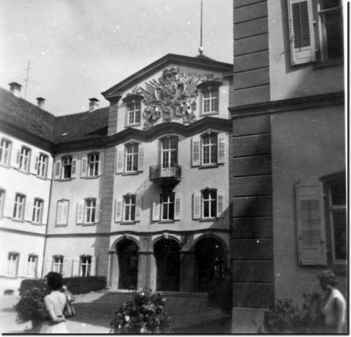 bodensee_mainau_01.jpg