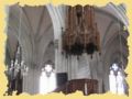 img_0809.jpg