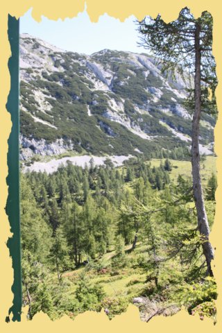 img_0170.jpg