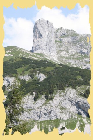 img_0488.jpg