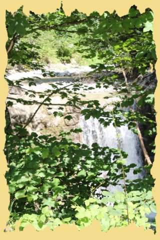 img_0264.jpg