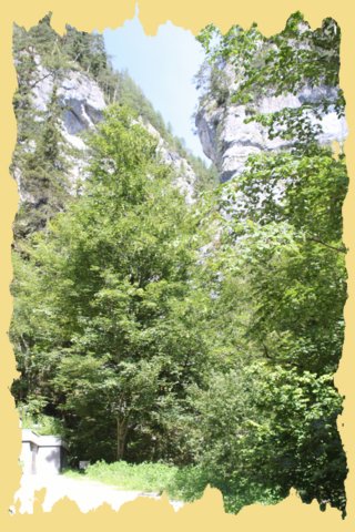 img_0267.jpg