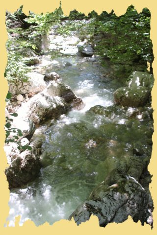 img_0272.jpg