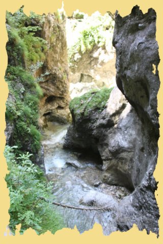 img_0312.jpg