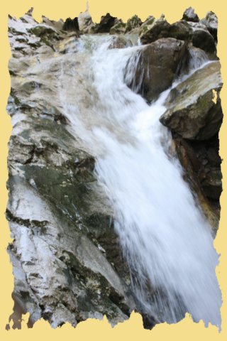 img_0315.jpg