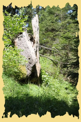 img_0330.jpg